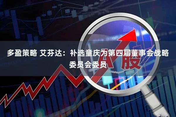 多盈策略 艾芬达：补选童庆为第四届董事会战略委员会委员