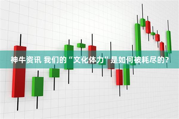神牛资讯 我们的“文化体力”是如何被耗尽的？