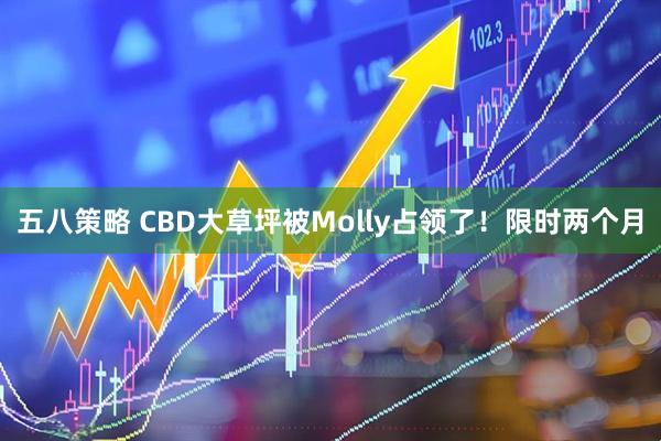 五八策略 CBD大草坪被Molly占领了！限时两个月
